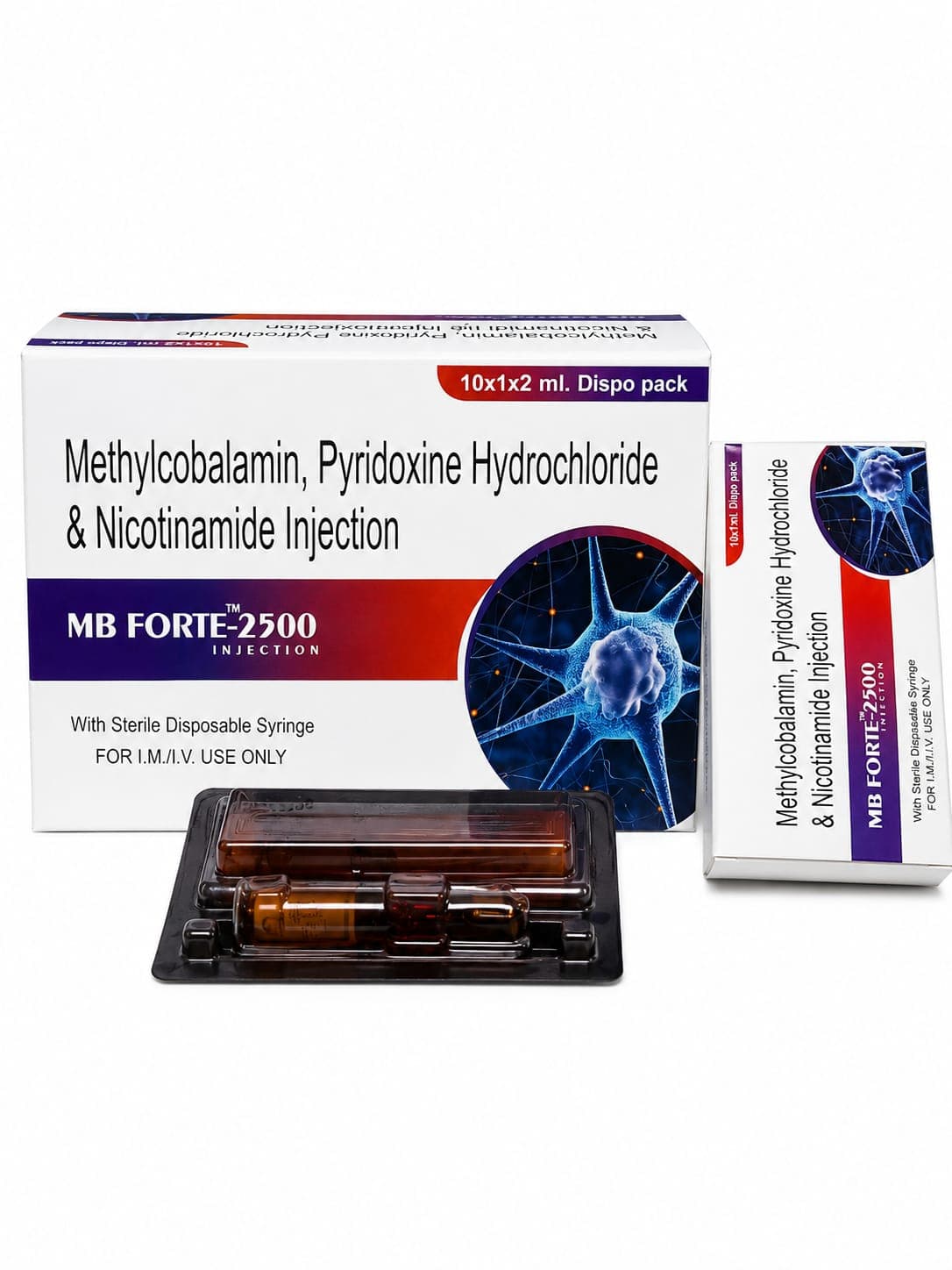 MB Forte-2500